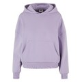 Urban Classics Μπλούζα φούτερ λιλά
