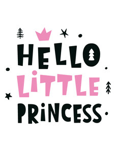 Vinylize Αυτοκόλλητο τοίχου 'Hello Little Princess'