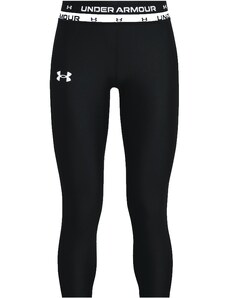 Under Armour Κολάν Under HG Armour 1361237-001