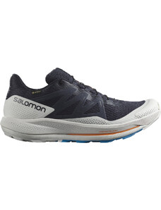Παπούτσια Salomon PULSAR TRAIL GTX l41749900 43,3