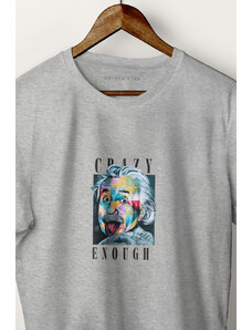 UnitedKind Crazy Einstein, T-Shirt σε γκρι χρώμα