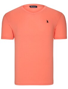 Ανδρικό μπλουζάκι dewberry