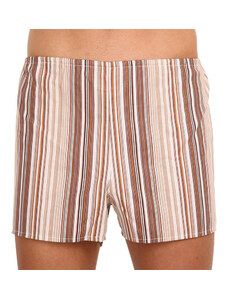 Classic men's shorts Foltýn brown with stripes oversize