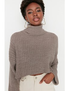 Γυναικείο πουλόβερ Trendyol Knitwear