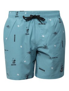 Emerson PRINTED VOLLEY SHORTS