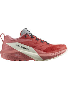 Παπούτσια Trail Salomon SENSE RIDE 5 W l47215200 38,7