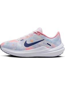 Παπούτσια για τρέξιμο Nike Winflo 10 Premium fb6940-600