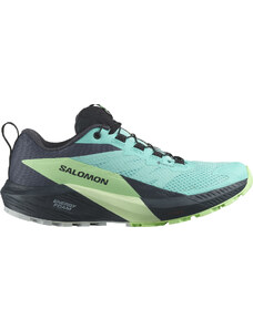 Παπούτσια Trail Salomon SENSE RIDE 5 GTX W l47216000 37,3