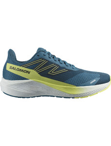 Παπούτσια για τρέξιμο Salomon AERO BLAZE WIDE l47211300 40,7