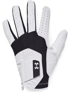 Γάντια Under Armour UA Iso-Chill Golf Glove-BLK 1370277-001