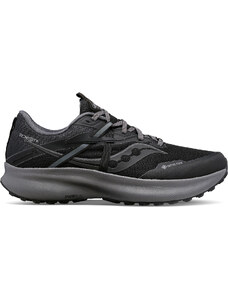 Παπούτσια Trail Saucony RIDE 15 TR GTX s20799-10