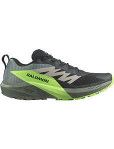 Παπούτσια Trail Salomon SENSE RIDE 5 l47311100 40,7