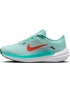 Παπούτσια για τρέξιμο Nike Winflo 10 dv23-300
