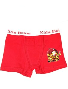 Παιδικά Boxer MADBOX X-Mas “Santa & Reindeers”