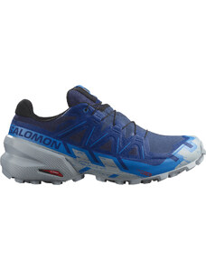 Παπούτσια Trail Salomon SPEEDCROSS 6 GTX l47302000 42,7
