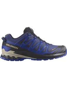 Παπούτσια Trail Salomon XA PRO 3D V9 GTX l47270300 41,3