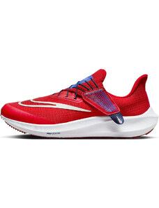 Παπούτσια για τρέξιμο Nike Pegasus FlyEase dj7381-601 40,5