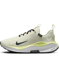 Παπούτσια για τρέξιμο Nike InfinityRN 4 GORE-TEX fb2197-100 40,5