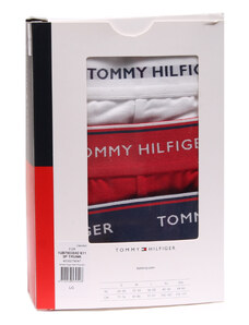 Tommy hilfiger ανδρικό boxer multi 1u87903842-611