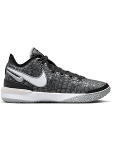 Παπούτσια μπάσκετ Nike ZOOM LEBRON NXXT GEN dr8784-005