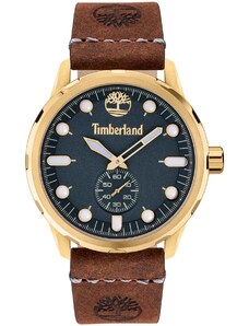 TIMBERLAND ADIRONDACK - TDWGA0028502, Gold case with Brown Leather Strap