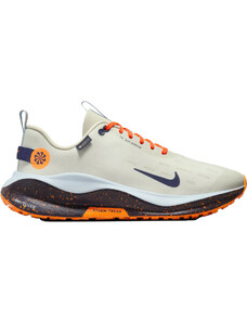 Παπούτσια για τρέξιμο Nike InfinityRN 4 GORE-TEX fb2204-002 47,5