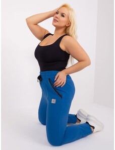 Fashionhunters Navy blue sweatpants plus size