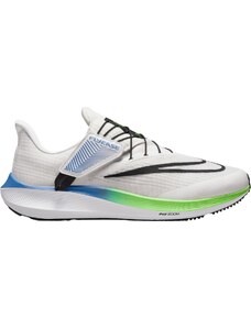 Παπούτσια για τρέξιμο Nike Pegasus FlyEase dj7381-006