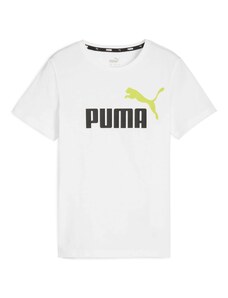PUMA Μπλουζάκι 'Essential' μοσχολέμονο / μαύρο / λευκό