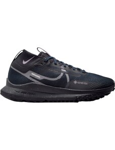 Παπούτσια Nike Pegasus Trail 4 GORE-TEX fz4343-400