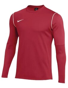 Μακρυμάνικη μπλούζα Nike M NK DF PARK20 CREW TOP R fj3004-657