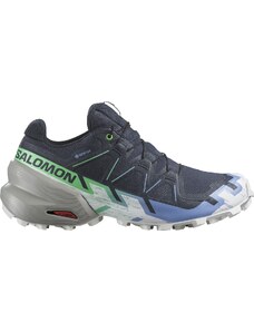 Παπούτσια Trail Salomon SPEEDCROSS 6 GTX W l47465900 39,3