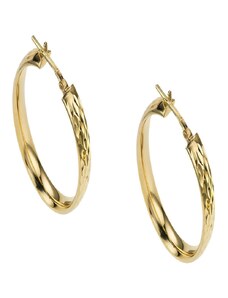BREEZE Earring | Silver 925° Gold Plated 213033.1