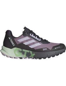 Παπούτσια Trail adidas TERREX AGRAVIC FLOW 2 GTX W id2501 39,3