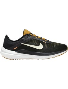 Παπούτσια για τρέξιμο Nike Winflo 10 dv4022-009 44,5