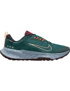 Παπούτσια Nike Juniper Trail 2 GORE-TEX fb2067-300 44,5