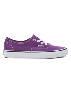 VANS AUTHENTIC COLOR THEORY VN000BW51N8-1N8 Μωβ