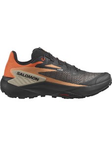 Παπούτσια Trail Salomon GENESIS l47526100 43,3