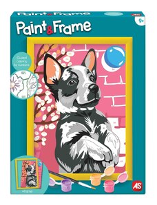 AS Company Paint & Frame Ζωγραφίζω Με Αριθμούς Playful Husky Για Ηλικίες 9+ Χρονών