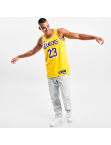 Nike NBA LA Lakers James Icon Ανδρική Μπασκετική Φανέλα