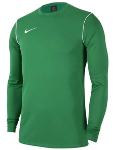 Μακρυμάνικη μπλούζα Nike Y NK DF PARK20 CREW TOP R fj3008-302