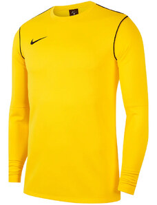Μακρυμάνικη μπλούζα Nike M NK DF PARK20 CREW TOP R fj3004-719