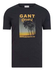 Gant T-shirt Washed Graphic Print Άνετη Γραμμή