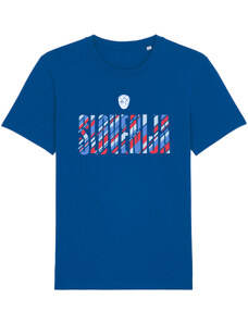 T-shirt Nike NZSx11TS SLOVENIJA shirt men blue nzsnzs800-463
