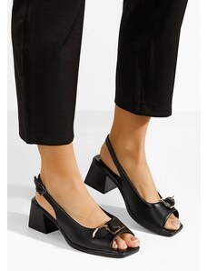 Zapatos Πέδιλα με χοντρο τακουνι Payge Μαύρα