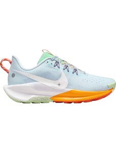 Παπούτσια Nike Pegasus Trail 5 dv3865-402