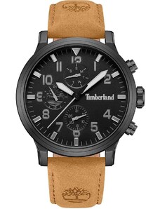 TIMBERLAND DRISCOLL - TDWGF0040701, Black case with Brown Leather Strap