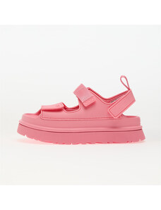 UGG W Goldenglow Tropical Pink