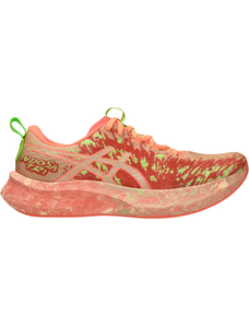 Asics Παπούτσια για τρέξιμο NOOSA TRI 16 Ανδρικά