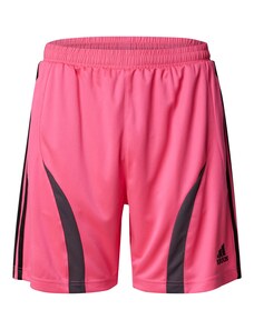 ADIDAS ORIGINALS Παντελόνι 'Teamgeist Adicolor' ροζ / μαύρο